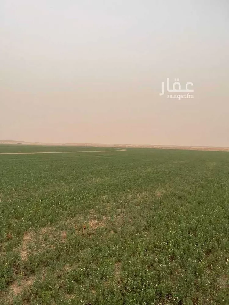 مزرعة للبيع في حي مزارع الشهيبيه, مدينة مزارع الشهيبيه, منطقة الرياض صورة 2