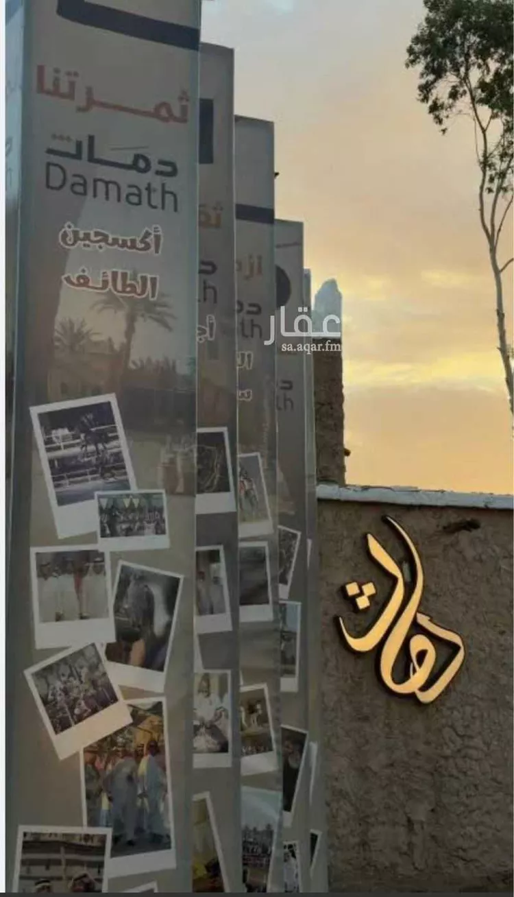 مجمع للبيع في حي الاخاضر, مدينة الطائف, منطقة مكة المكرمة صورة 5