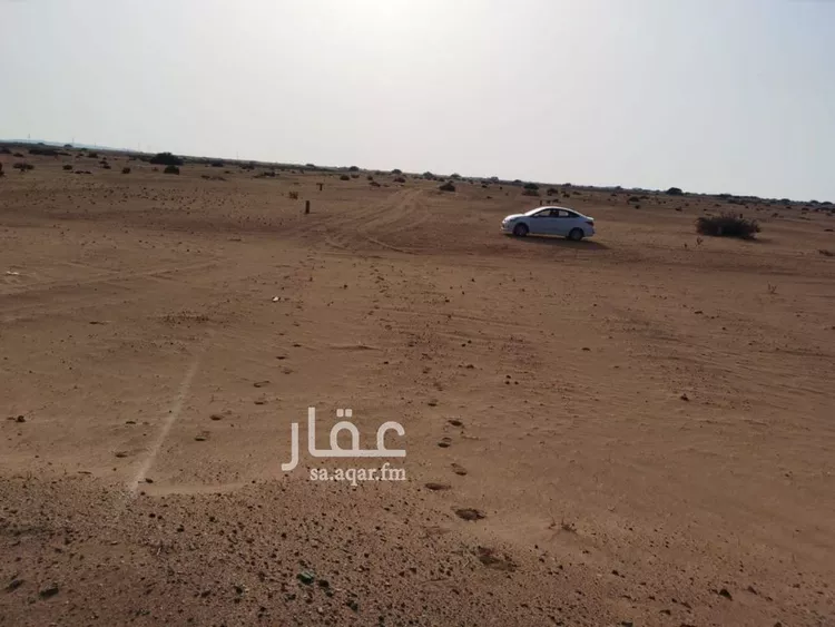 أرض للبيع في حي الوداد, مدينة جدة, منطقة مكة المكرمة صورة 2