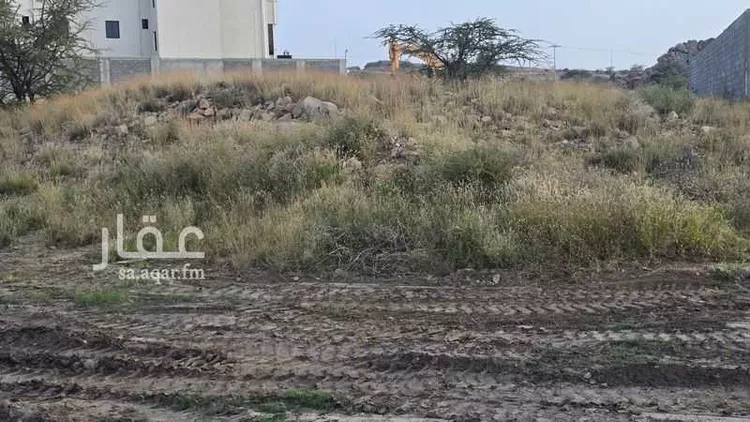 أرض للبيع في شارع 11116916, حي العنود, مدينة أحد رفيدة - الواديين, منطقة عسير صورة 3