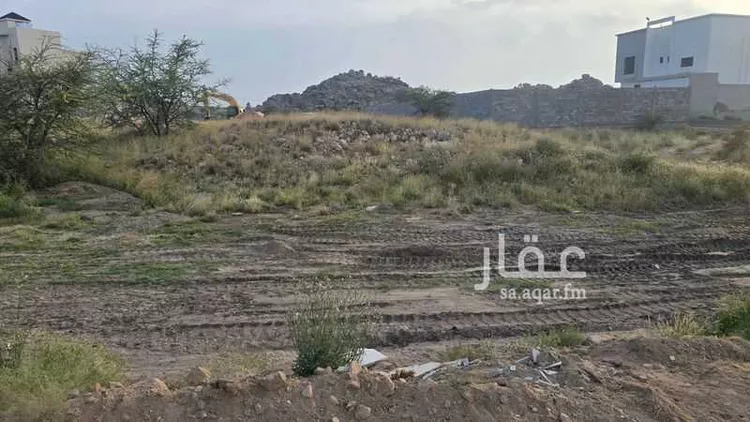 أرض للبيع في شارع 11116916, حي العنود, مدينة أحد رفيدة - الواديين, منطقة عسير صورة 2