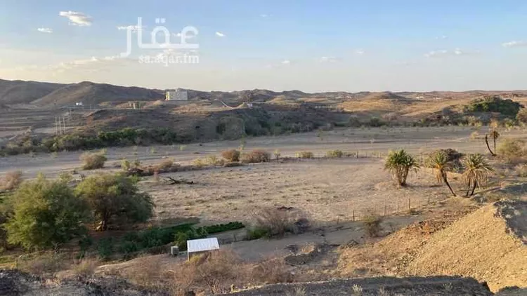 مزرعة للبيع في شارع جرد 425 ، بادية بني كبير ، بيشة صورة 4