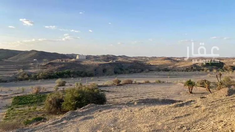 مزرعة للبيع في شارع جرد 425 ، بادية بني كبير ، بيشة صورة 5