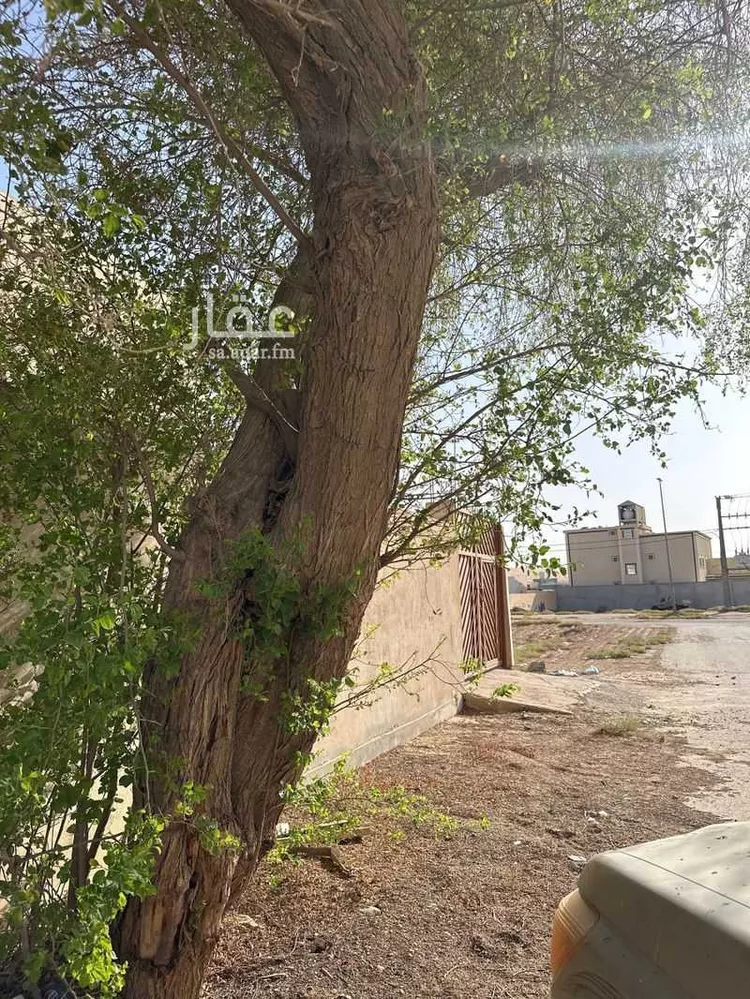 بيت للبيع في شارع السيباني 627 ، جو ، ضرما صورة 3