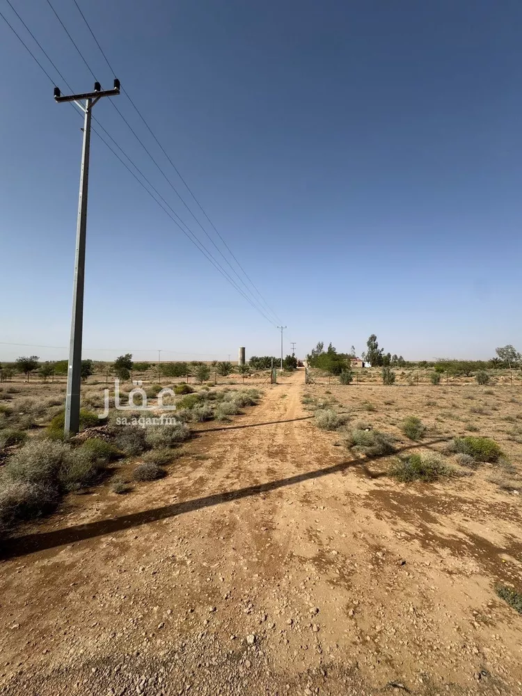 مزرعة للبيع في حي ضيده, مدينة ضيده, منطقة القصيم صورة 3