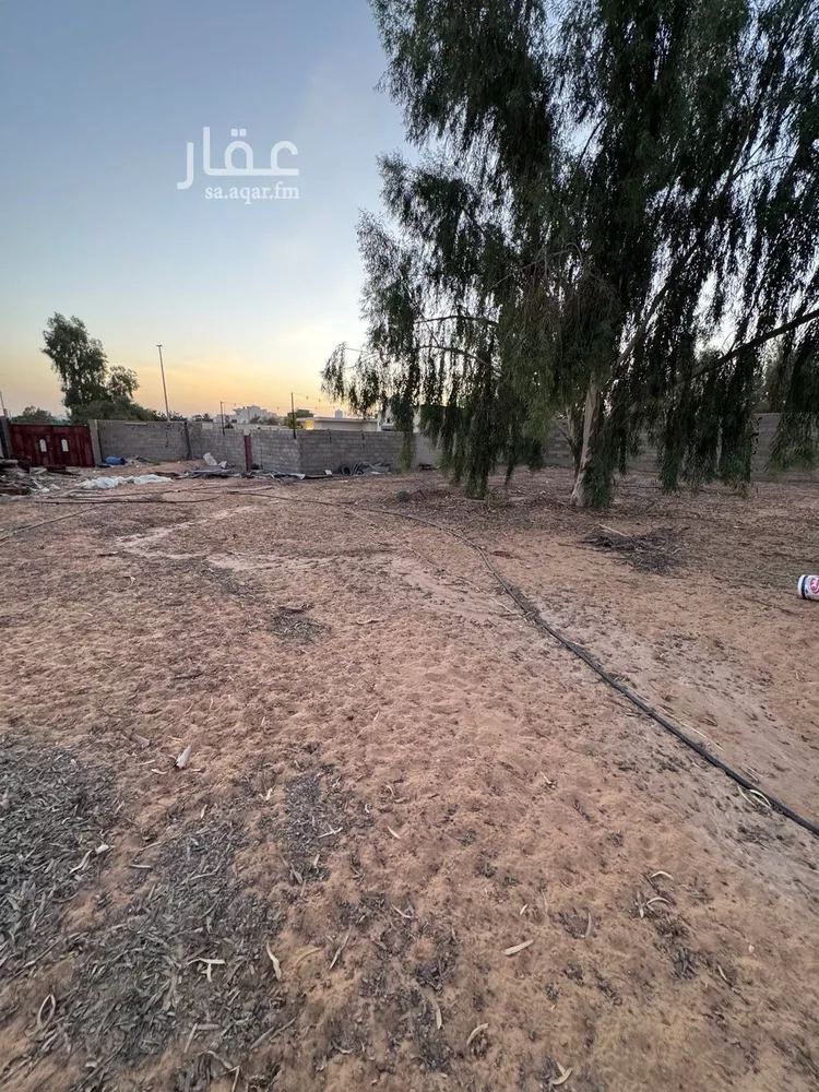 استراحة للإيجار في شارع الاربلي, حي الرمال, مدينة بريدة, منطقة القصيم صورة 2