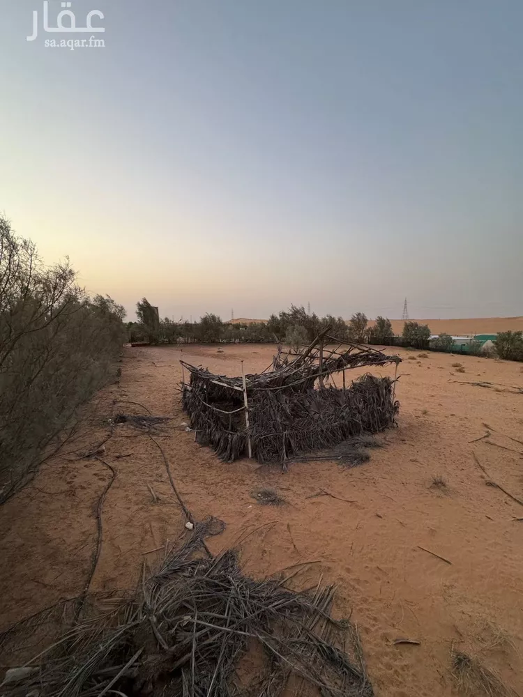 مزرعة للبيع في حي العريفيه, مدينة بريدة, منطقة القصيم 9