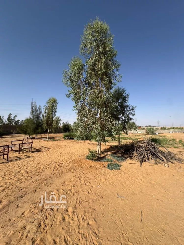 Farm for Sale in Buraydah Al Qaa Al Barid 6