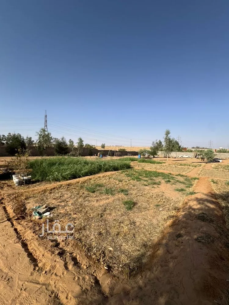 Farm for Sale in Buraydah Al Qaa Al Barid 7