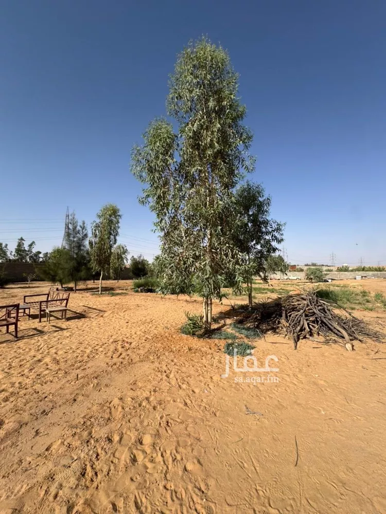 مزرعة للبيع في مدينة بريدة, منطقة القصيم 6