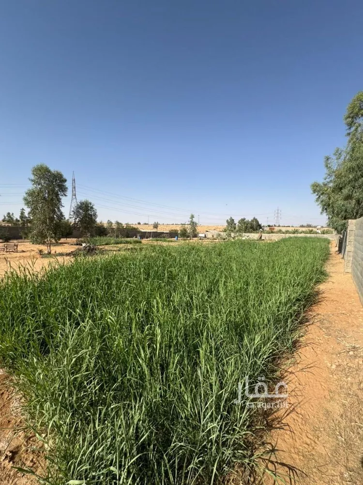 Farm for Sale in Buraydah Al Qaa Al Barid 9
