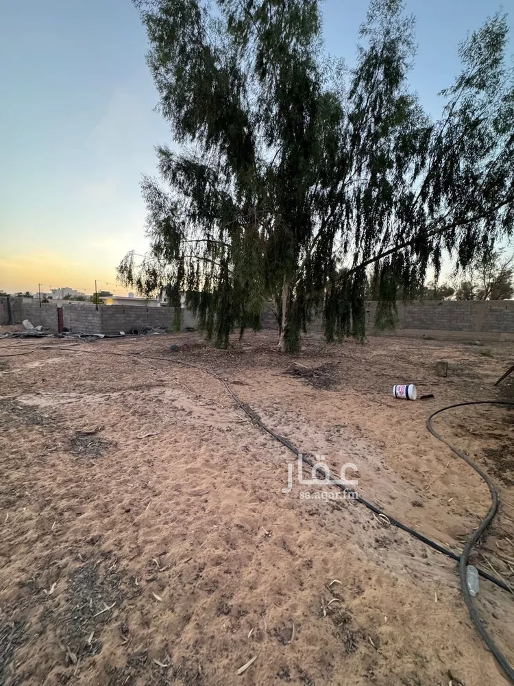 استراحة للإيجار في شارع الاربلي, حي الرمال, مدينة بريدة, منطقة القصيم صورة 5