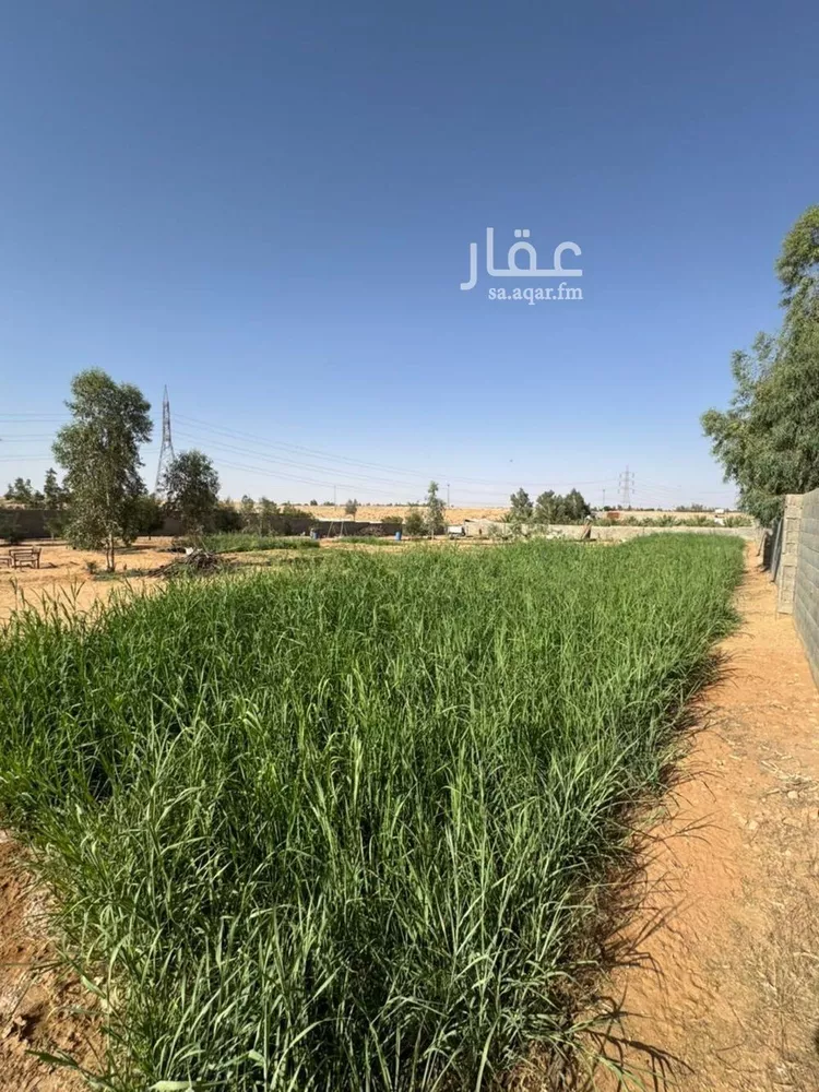 مزرعة للبيع في مدينة بريدة, منطقة القصيم 9