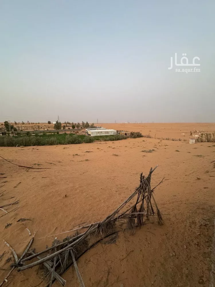 مزرعة للبيع في حي العريفيه, مدينة بريدة, منطقة القصيم 8