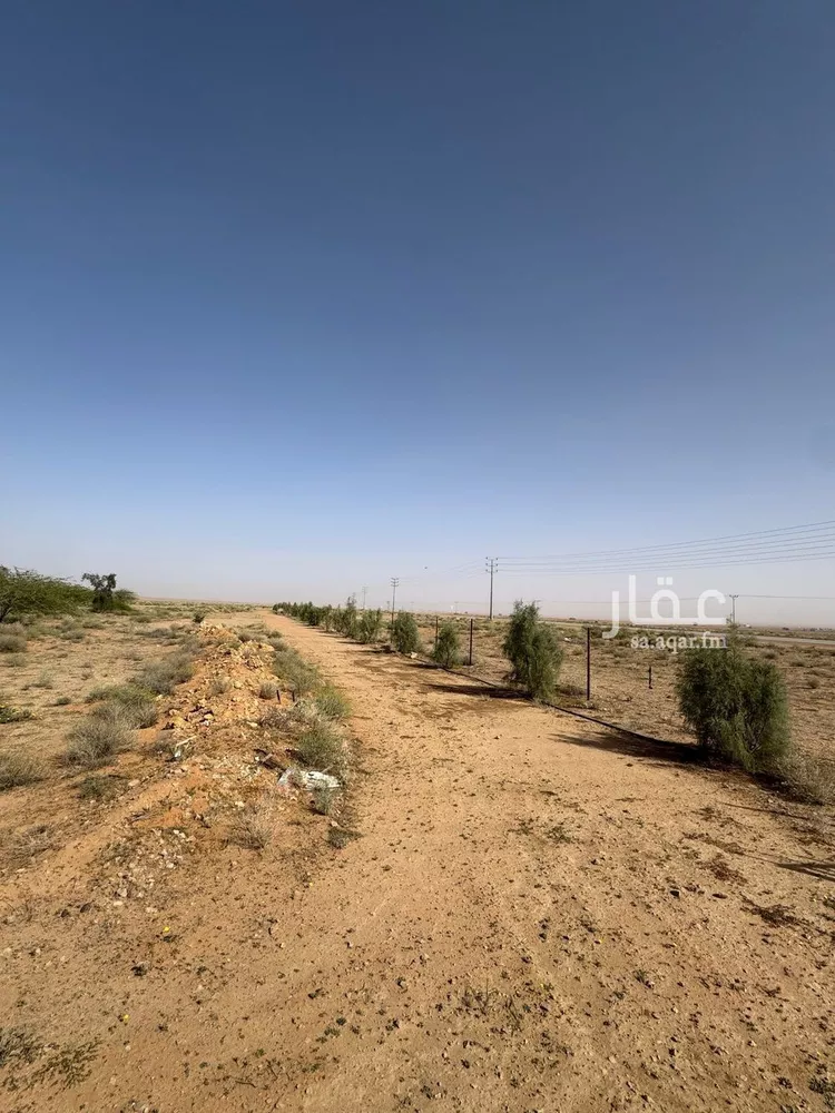 مزرعة للبيع في حي ضيده, مدينة ضيده, منطقة القصيم صورة 5