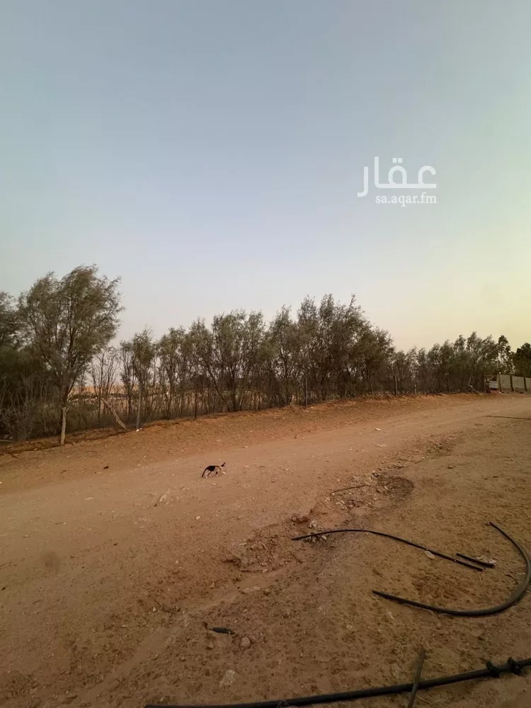 أرض للبيع في حي العريفيه, مدينة بريدة, منطقة القصيم 7