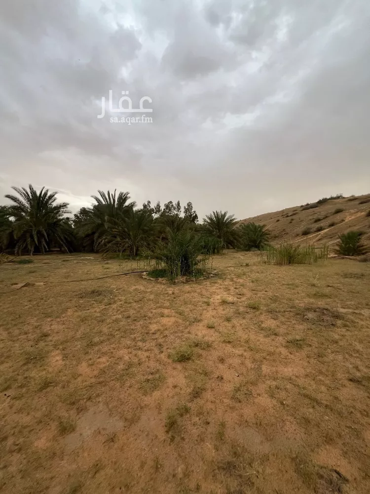 مزرعة للبيع في شارع العريفيه 1615, مدينة بريدة, منطقة القصيم صورة 2