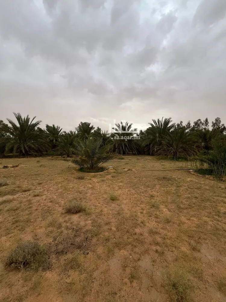 مزرعة للبيع في شارع العريفيه 1615, مدينة بريدة, منطقة القصيم صورة 5