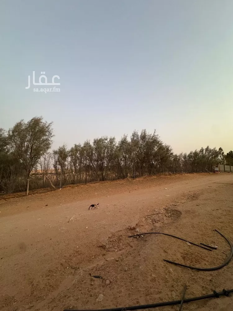 مزرعة للبيع في حي العريفيه, مدينة بريدة, منطقة القصيم صورة 2