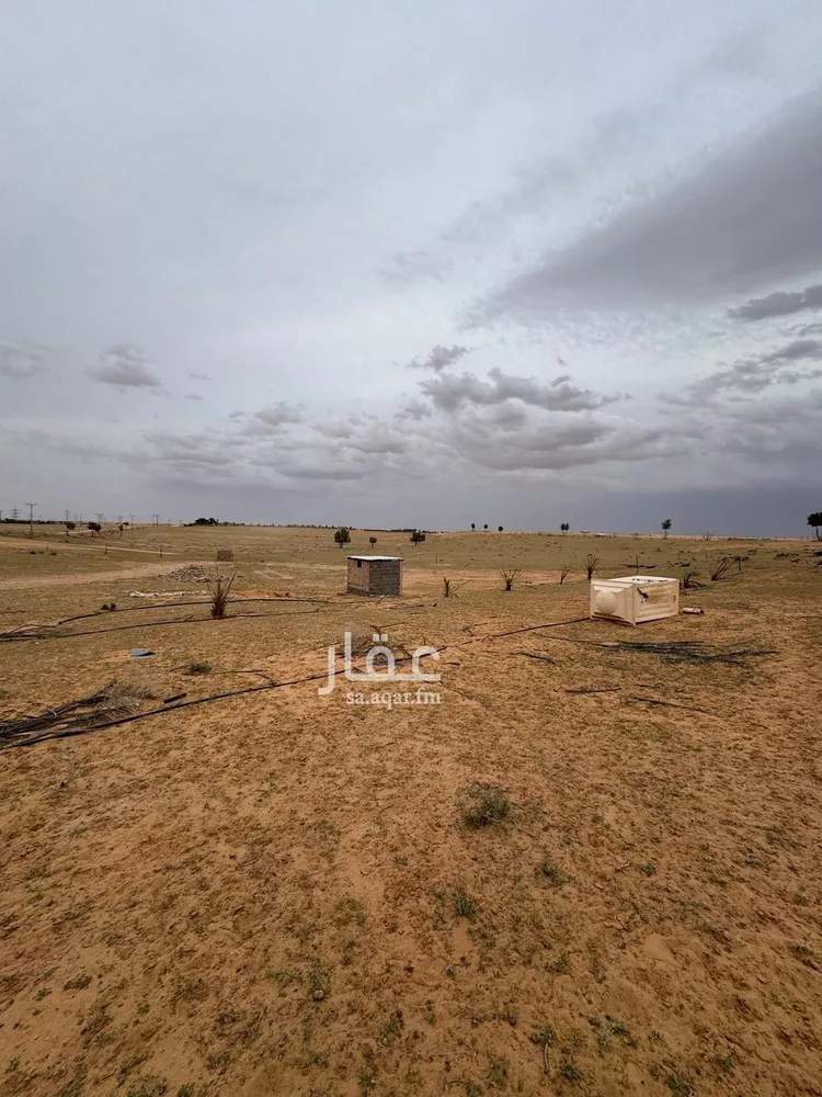 مزرعة للبيع في حي شرق بريدة, مدينة بريدة, منطقة القصيم صورة 4