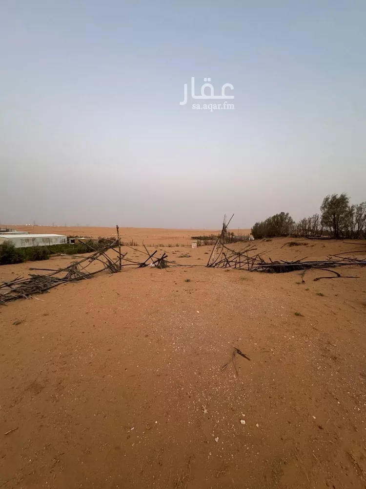 مزرعة للبيع في حي العريفيه, مدينة بريدة, منطقة القصيم صورة 3
