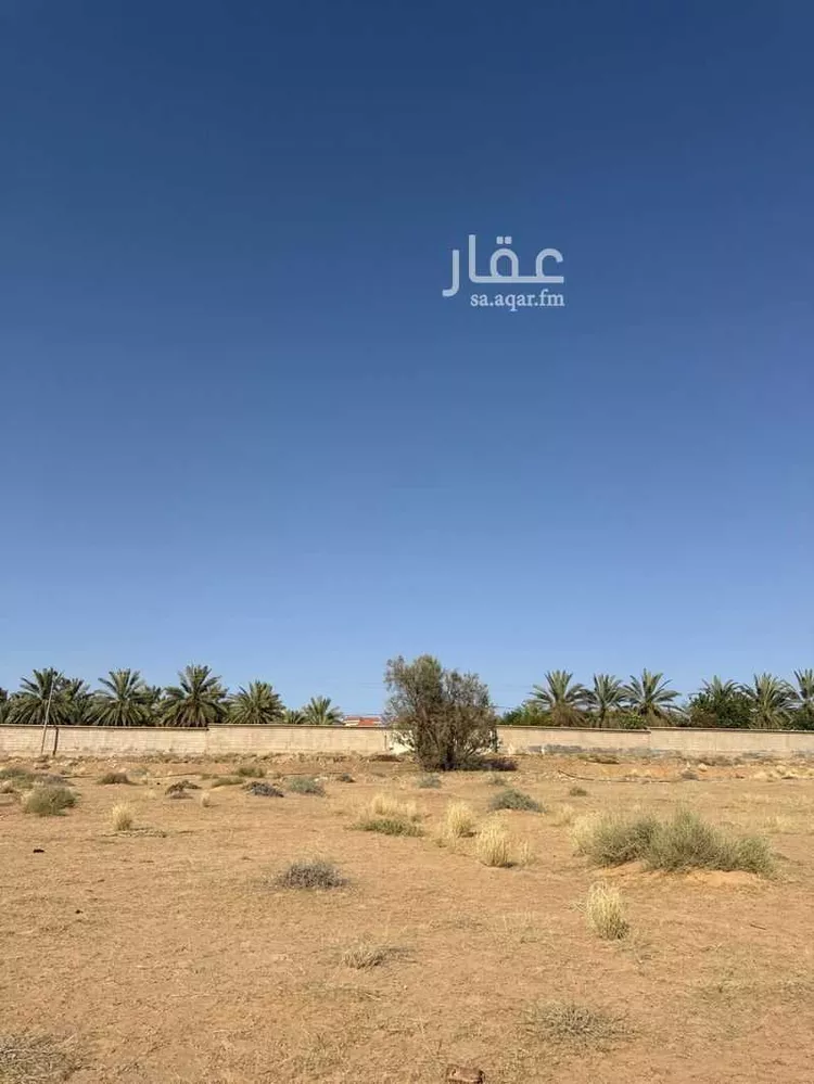 أرض للبيع في شارع غير مسمى, حي البصر2, مدينة البصر, منطقة القصيم صورة 3