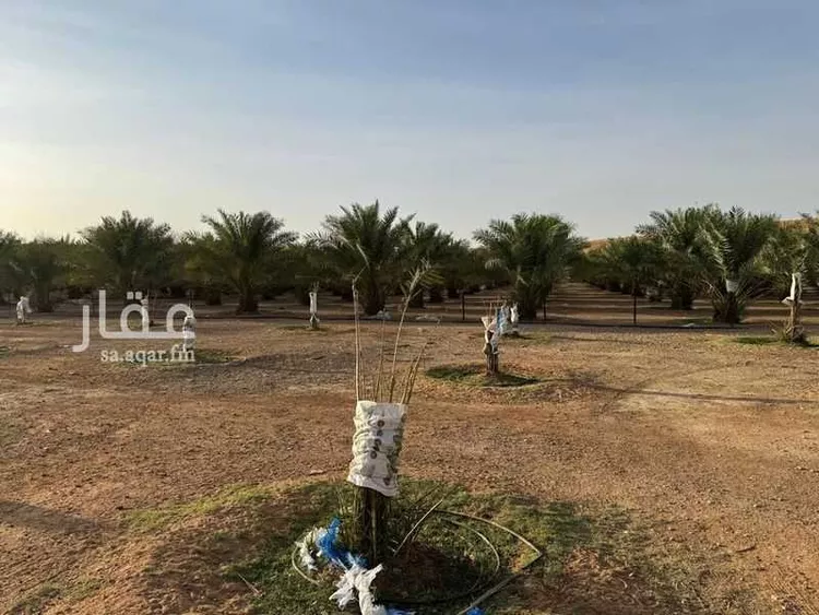 أرض للإيجار في شارع 11234, حي ال حفيان, مدينة ال حفيان, منطقة الرياض صورة 4