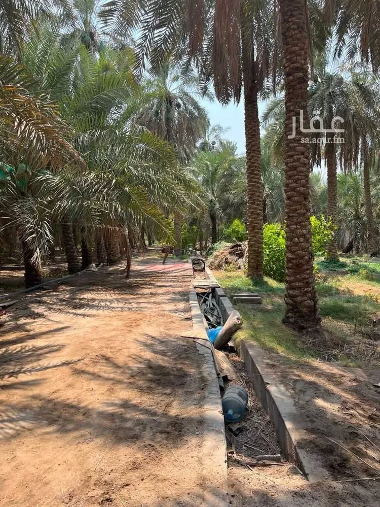 مزرعة للبيع في حي الروابي, مدينة الاحساء, المنطقة الشرقية صورة 2