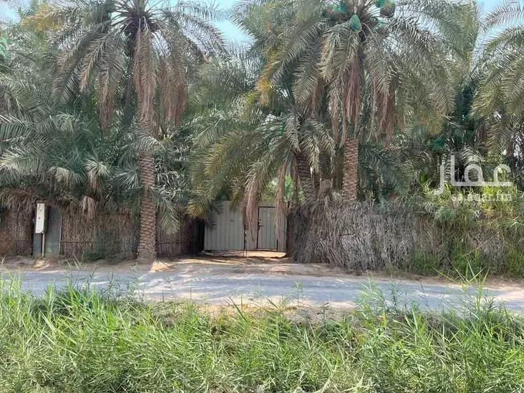 مزرعة للبيع في حي الروابي, مدينة الاحساء, المنطقة الشرقية