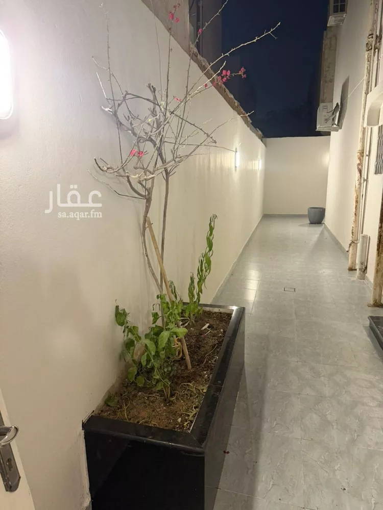 شقة للإيجار في شارع رويفع بن ثابت, حي السليمانية, مدينة الرياض, منطقة الرياض صورة 2