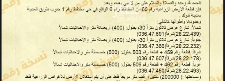 مزرعة للبيع في حي مزارع شمال طريق المدينه(الرابعة), مدينة مزارع شمال طريق المدينه(الرابعة), منطقة تبوك صورة 2