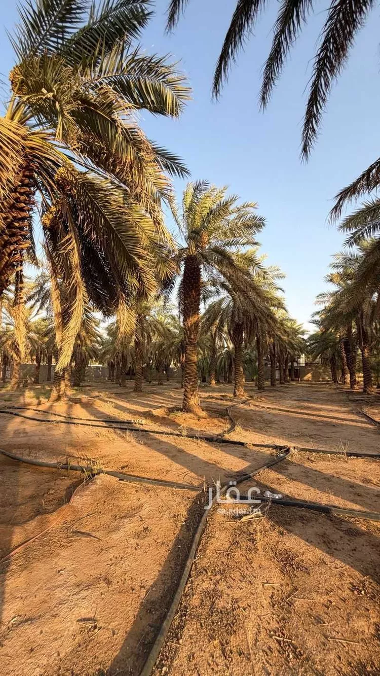 Farm for Sale in Buraydah Ash Shiqah