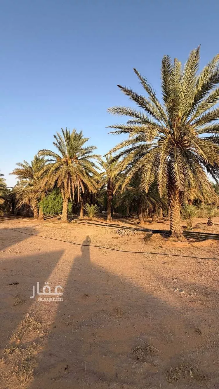 مزرعة للبيع في شارع الشقة 511, حي الشفق, مدينة بريدة, منطقة القصيم 7