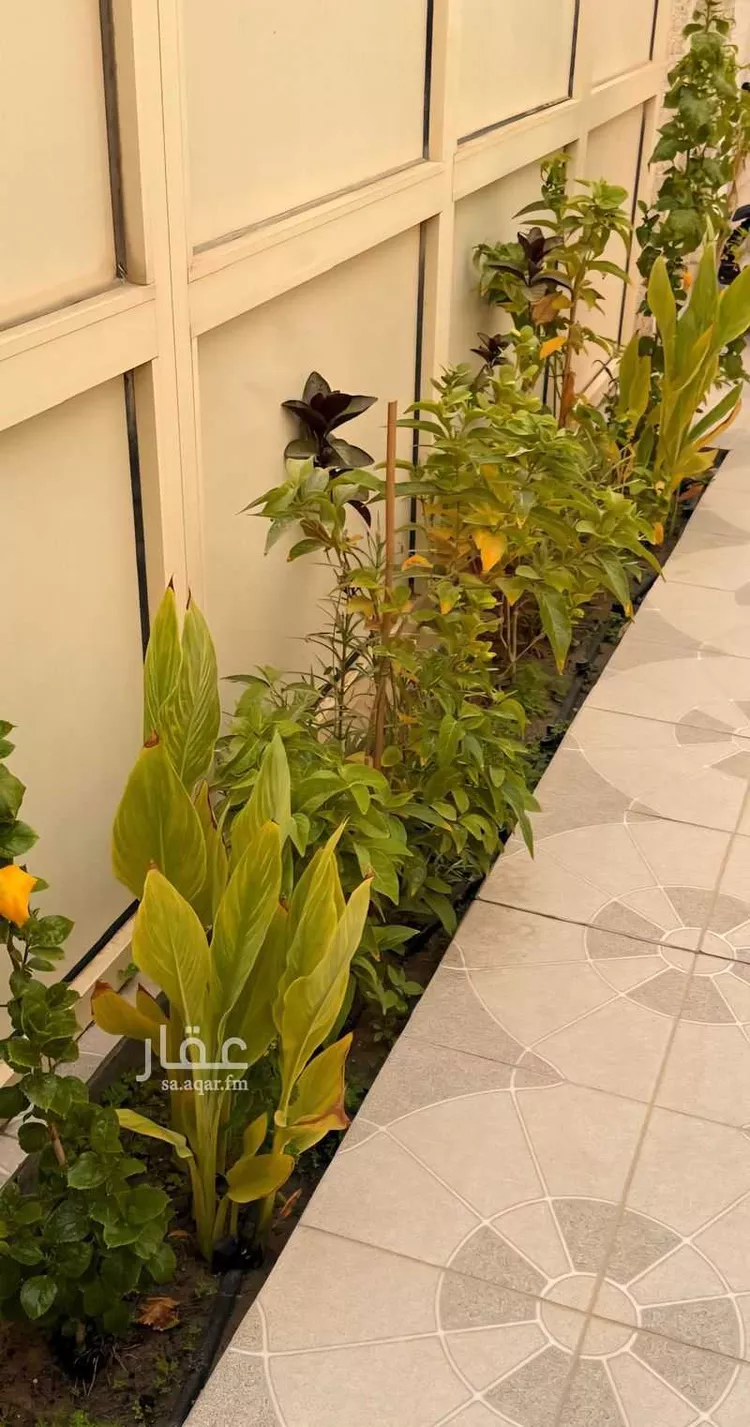 غرفة للإيجار في حي ، البحيرة ، الخبر ، الخبر