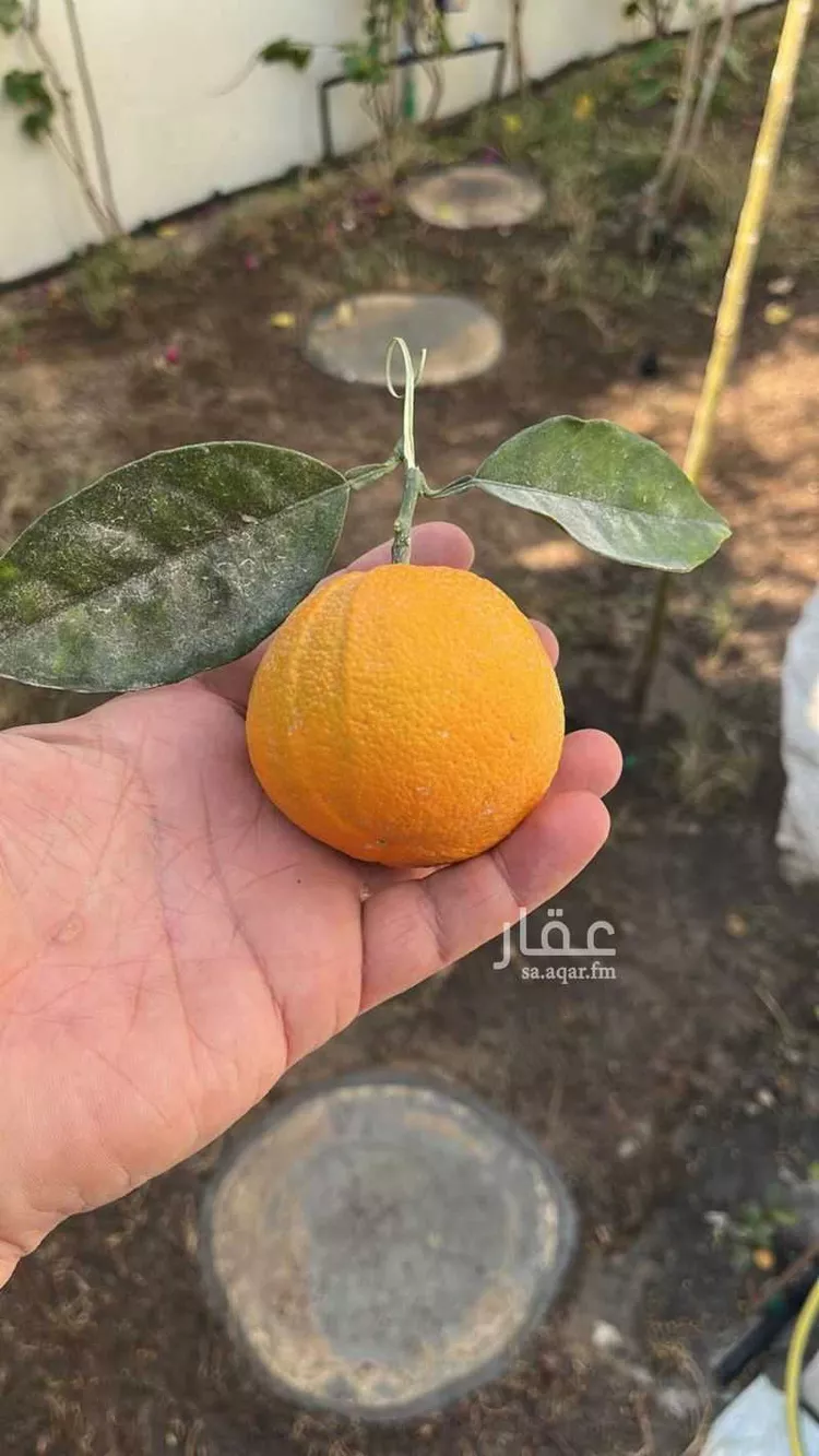 فيلا للبيع في شارع عبدالحق بن سعيد, حي الصدفة, مدينة الدمام, المنطقة الشرقية صورة 4
