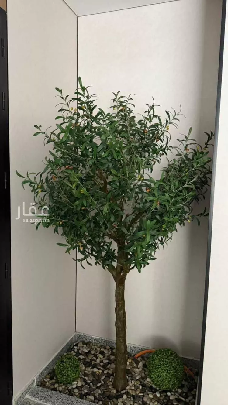 شقة للبيع في شارع خلف بن حيان, حي الصفاء, مدينة جدة, منطقة مكة المكرمة 25
