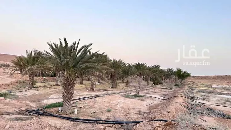 Farm for Sale in Thadiq Ad Deerah Al Kadimah صورة 2