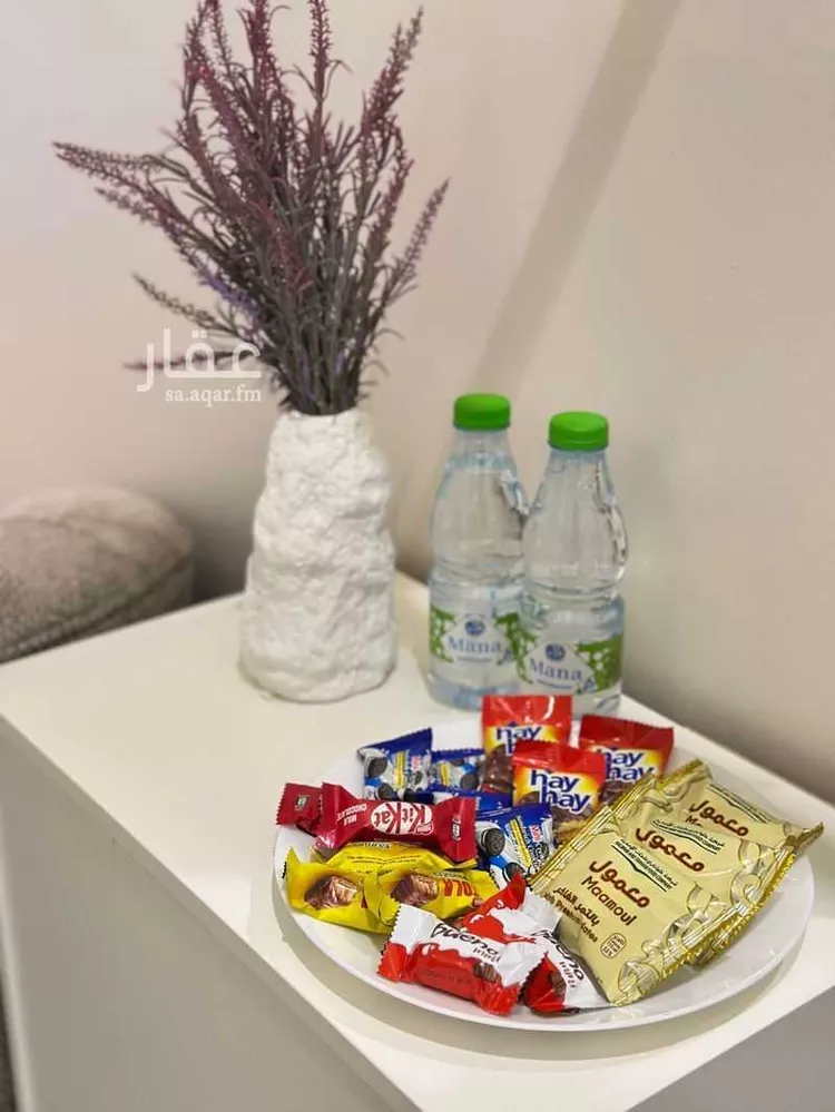 استديو مفروش للحجز في طريق الملك عبدالعزيز الفرعي, المصيف, الرياض صورة 4