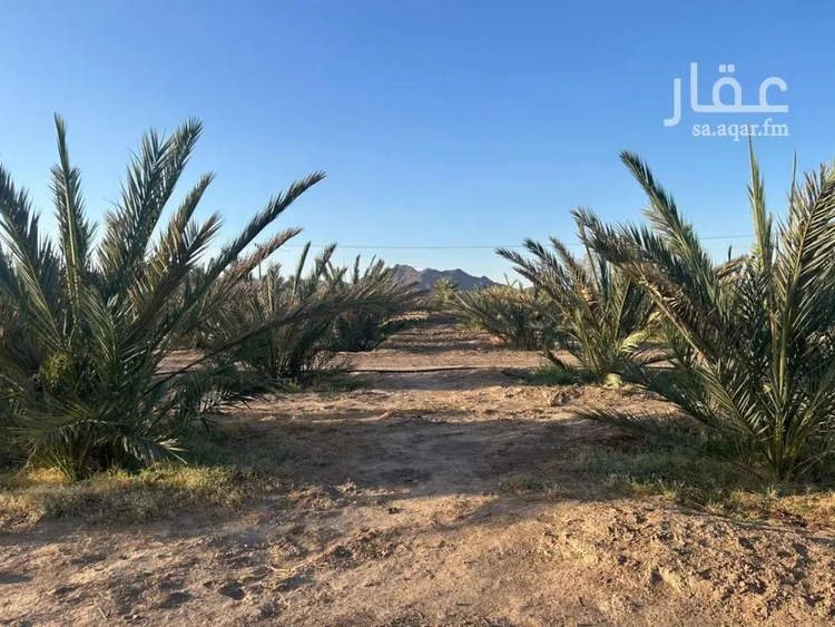 مزرعة للبيع في شارع ضواحي 112, حي المليليح, مدينة المدينه المنوره, منطقة المدينة المنورة