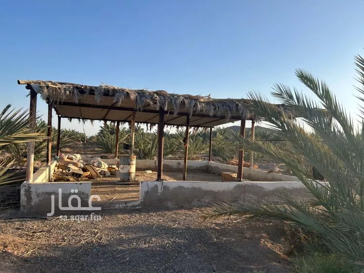 مزرعة للبيع في شارع ضواحي 112, حي المليليح, مدينة المدينه المنوره, منطقة المدينة المنورة صورة 2