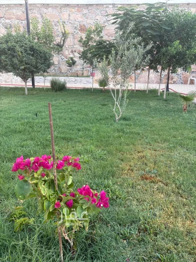 استراحة للبيع في حي الرحاب, مدينة الطائف, منطقة مكة المكرمة 14