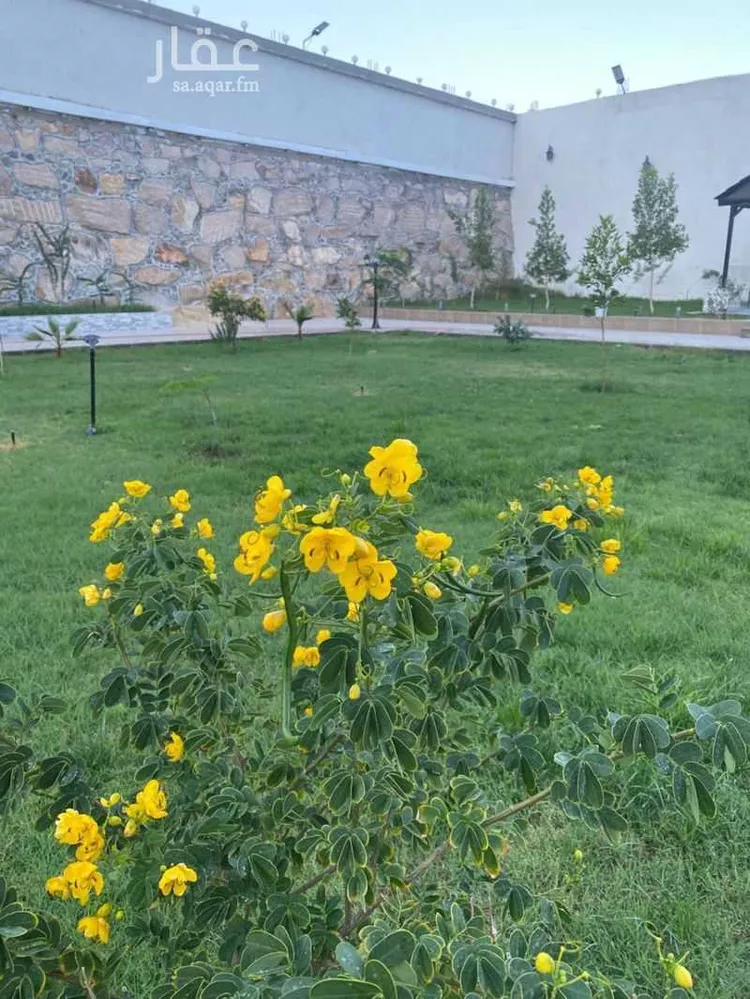 استراحة للبيع في حي الرحاب, مدينة الطائف, منطقة مكة المكرمة صورة 4