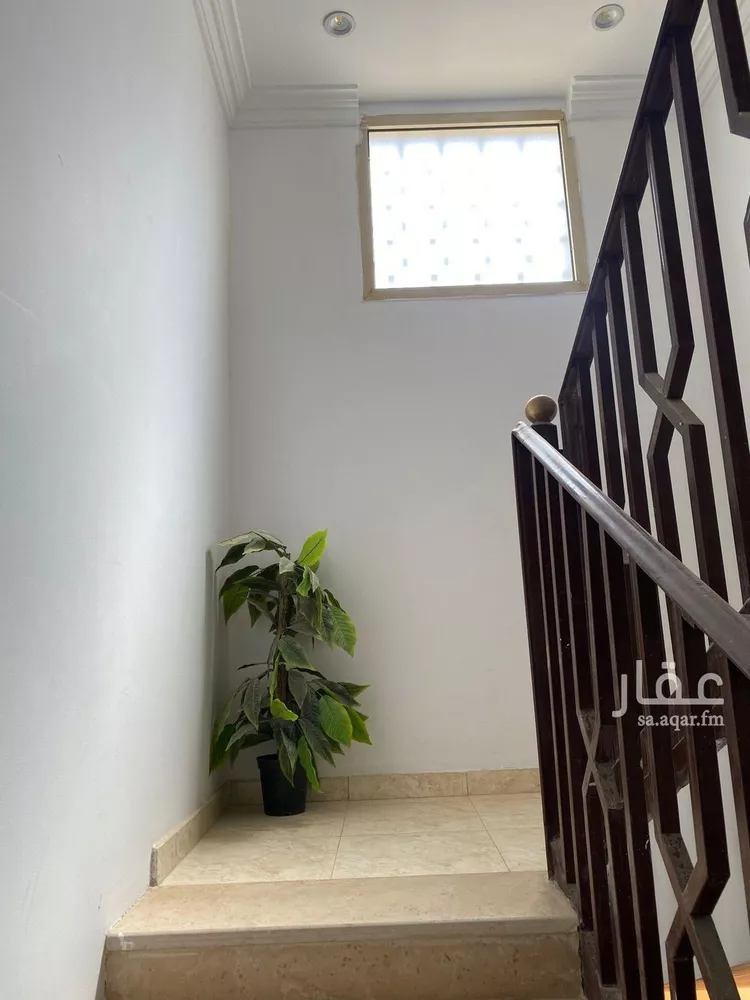 شقة للإيجار في شارع رقم 494, حي الملقا, مدينة الرياض, منطقة الرياض