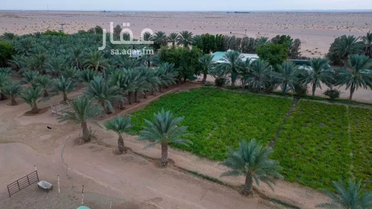 مزرعة للبيع في حي مزارع الشعب, مدينة مزارع الشعب, منطقة الرياض صورة 4
