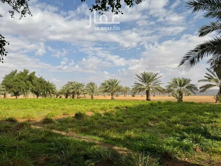 استراحة للإيجار في حي مزارع المغيدر, مدينة المجمعة, منطقة الرياض صورة 2