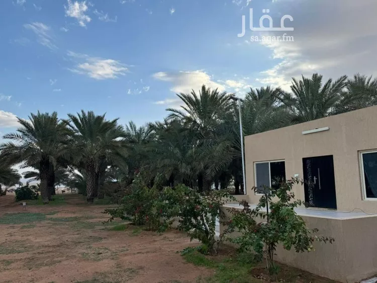 استراحة للإيجار في حي مزارع المغيدر, مدينة المجمعة, منطقة الرياض صورة 3