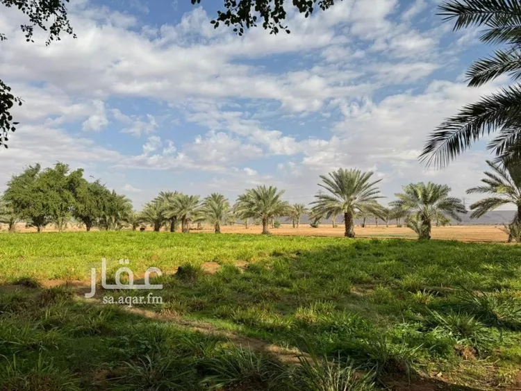 مزرعة للبيع في حي مزارع الشعب, مدينة مزارع الشعب, منطقة الرياض صورة 2