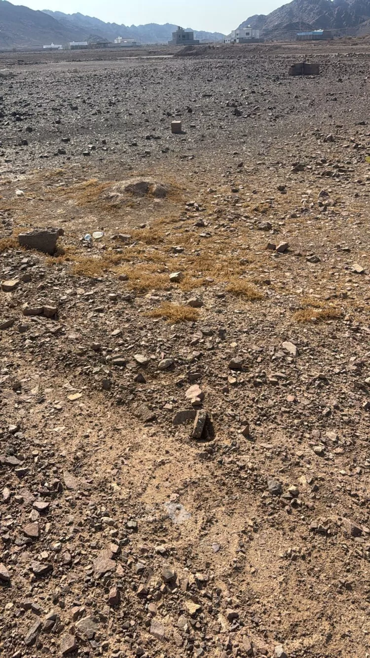 أرض للبيع في حي الصويدرة, مدينة المدينة المنورة, منطقة المدينة المنورة صورة 4