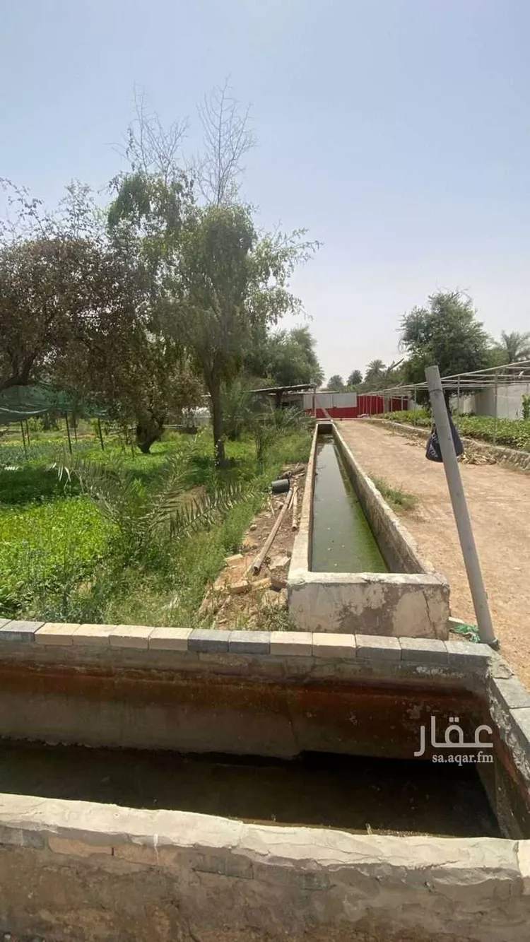 مزرعة للبيع في حي عريض, مدينة الرياض, منطقة الرياض صورة 2