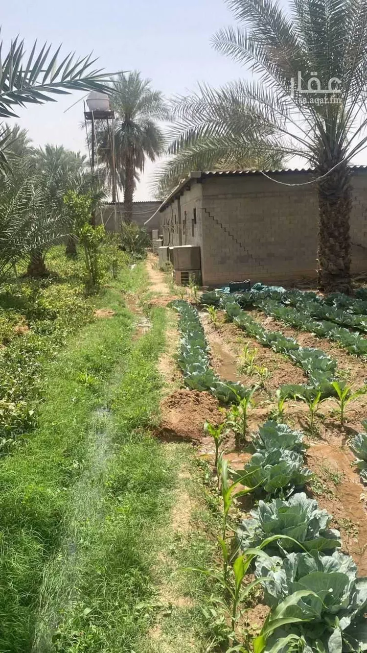 مزرعة للبيع في حي عريض, مدينة الرياض, منطقة الرياض 7